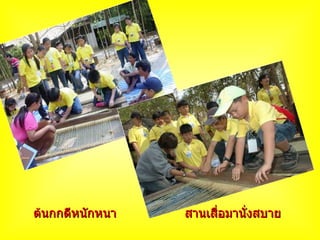 ต้นกกดีหนักหนา   สานเสื่อมานั่งสบาย 