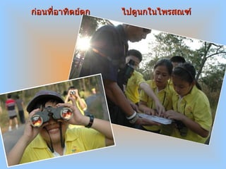 ก่อนที่อาทิตย์ตก   ไปดูนกในไพรสณฑ์ 