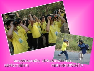 ชมนกกันจนเพลิน เร่งรีบเดินกลับกันมา แล้วจึงอาบน้ำท่า กินข้าวปลาเสร็จเร็วไว 