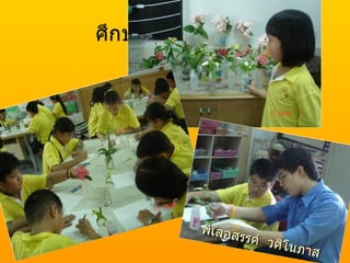 ศึกษาลักษณะของดอก พี่เลอสรรค์  วศิโนภาส 