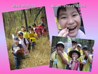 เดินป่าพากันชม สะแกราชของชาติไทย 