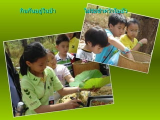 กินกันอยู่ในป่า ไม่รอช้าคว้าใบบัว 