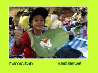 กินข้าวบนใบบัว แสนมีสุขสนุกดี 