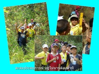 สะสมประสบการณ์ อยู่ไม่นานต้องลาที 