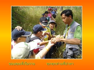 ขอบคุณที่เจือจาน ทุกทุกท่านที่นำพา 