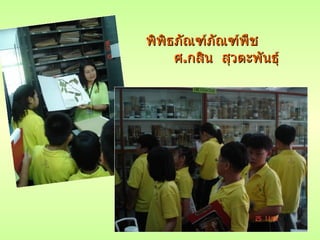 พิพิธภัณฑ์ภัณฑ์พืช   ศ . กสิน  สุวตะพันธุ์ พิพิธภัณฑ์ภัณฑ์พืช  ศ . กสิน  สุวตะพันธุ์ 