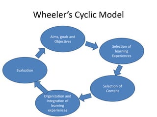 Wheeler’s Cyclic Model
Evaluation
Aims, goals and
Objectives
Selection of
learning
Experiences
Selection of
Content
Organization and
Integration of
learning
experiences
 