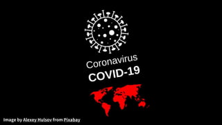 Image by Alexey Hulsov from Pixabay
 