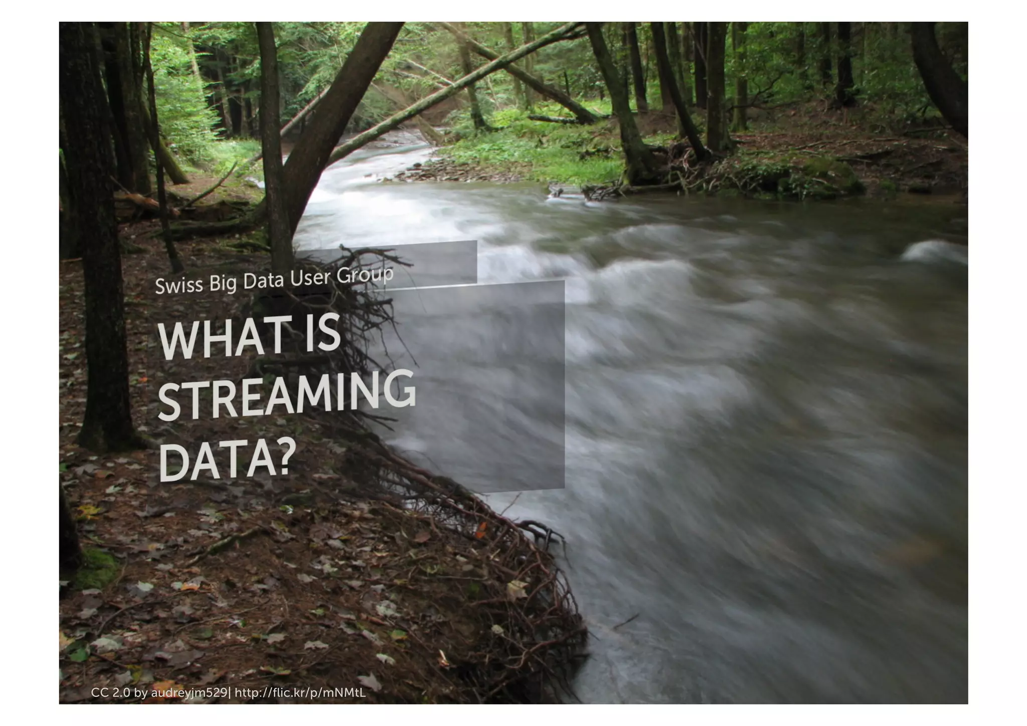 CC 2.0 by audreyjm529| http://ﬂic.kr/p/mNMtL	
  
 