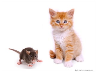 online PR fuer Klein- und Mittelunternehmen