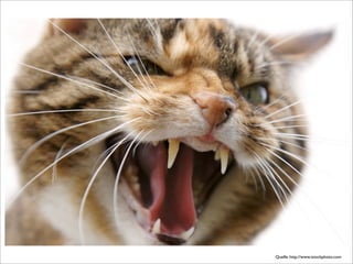 online PR fuer Klein- und Mittelunternehmen