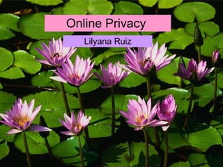 Online Privacy  Lilyana Ruiz 