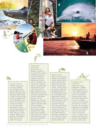 T H E O F F I C I A L S A R A S OTA A N D H E R I S L A N D S V I S I TO R S G U I D E
1
2
3
4
1
2
3
4
5
‘GATOR WATCH
“Watch where you
put your paddle!”
my canoeing com-
panion said. On that
day, the Myakka Lake
tributary seemed like
a Tarzan movie come-
to-life, complete with
croc look-alikes. Any
day of the year, from
a canoe or kayak,
or from the park’s
observation areas,
you will see ‘gators in
Myakka River State
Park. Also try: Oscar
Scherer State Park in
Osprey; the Myakka
River near Snook
Haven in Venice.
PADDLER’S
PARADISE
Bring your own
kayak or canoe, or
rent one from a local
outﬁtter, but don’t
miss the chance to
explore Lido Key’s
mangrove tunnels.
Even in daylight, this
canopy of “walking
trees” (accessed from
the launch at South
Lido Nature Park)
feels mysterious, but
friends tell me that a
full moon paddle here
can be “awesomely
spooky.” As you
paddle, you may see
tiny mangrove crabs,
yellow-crowned night
herons, dolphins
and even manatees.
Other good spots:
Myakka River State
Park; Oscar Scherer
State Park; and Snook
Haven (boat conces-
sions are available in
all locations).
GREAT HIKES
Head to the Crowley
Museum and Nature
Center where nature
trails traverse pine
ﬂatwoods, oak ham-
mocks, swamp and
marsh – and a newly-
renovated, half-mile
boardwalk leads to
an observation tower.
Or try Myakka River
State Park’s Mossy
Hammock Trail which
offers shade on much
of its 2.2-mile path;
the park’s Nature
Trail, near the famed
Canopy Walkway, is
quiet and scenic. For
a walk near water, try
the Jelks Preserve
along the Myakka Riv-
er in Venice or Oscar
Scherer State Park’s
South Creek trail.
FLIPPER AND
FRIENDS
Keep your eyes
peeled for wildlife-
watching ops! One
memorable Fourth of
July, I saw a dolphin
and her calf play in
Sarasota Bay while
ﬁreworks colored the
sky. At an Osprey
marina, I’ve witnessed
the birth of a mana-
tee calf. You may spot
dolphins and manatees
right from our beach-
es (and sea turtle
nests in summer,
too) – or head to the
Venice and Nokomis
jetties where dolphins
are seen every day.
 