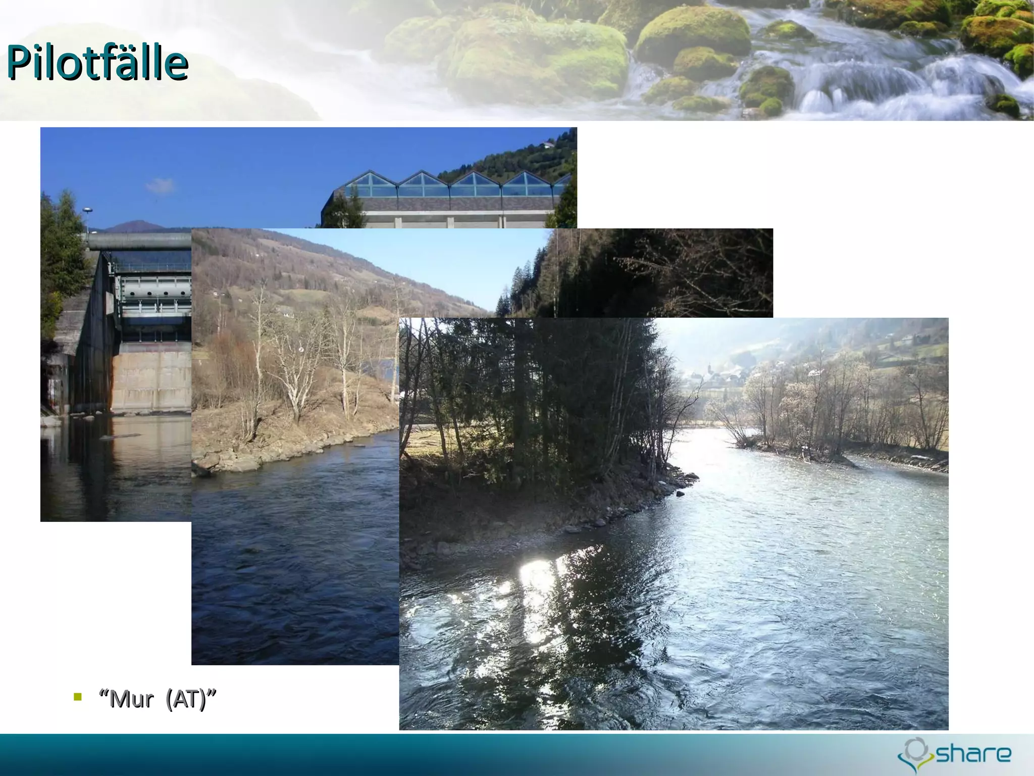 Pilotfälle “ Mur  (AT)” 