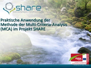 Praktische Anwendung der Methode der Multi-Criteria-Analysis (MCA) im Projekt SHARE  