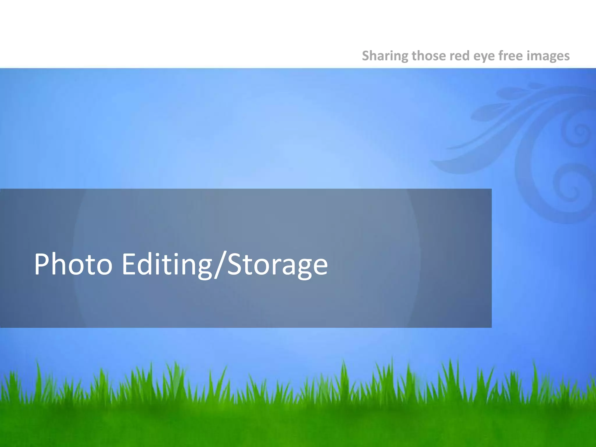 You Didn’t Know You Needed