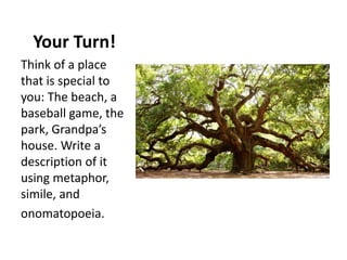Your Turn!
Think of a place
that is special to
you: The beach, a
baseball game, the
park, Grandpa’s
house. Write a
description of it
using metaphor,
simile, and
onomatopoeia.

 