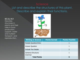 SC.3.L.14.1
Describe
structures in
plants and their
roles in food
production,
support, water
and nutrient
transport, and
reproduction.
Writing in Science Points Earned Points Possible
Restate Question/Intro 1
Answer Question 1
Include Two Details 2
Sentence Structure/
Grammar
1
Total Points 5
 