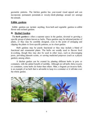 6
geometric patterns. The kitchen garden has year-round visual appeal and can
incorporate permanent perennials or woody shrub plantings around (or among)
the annuals.
Edible gardens
Edible gardens can include anything from herb and vegetable gardens to edible
flower and orchard gardens.
II. Herbal Garden
The herb garden is often a separate space in the garden, devoted to growing a
specific group of plants known as herbs. These gardens may be informal patches of
plants, or they may be carefully designed, even to the point of arranging and
clipping the plants to form specific patterns, as in a knot garden.
Herb gardens may be purely functional or they may include a blend of
functional and ornamental plants. The herbs are usually used to flavour food
in cooking, though they may also be used in other ways, such as discouraging
pests, providing pleasant scents, or serving medicinal purposes (such as a physic
garden), among others.
A kitchen garden can be created by planting different herbs in pots or
containers, with the added benefit of mobility. Although not all herbs thrive in pots
or containers, some herbs do better than others. Mint, a fragrant yet invasive herb,
is an example of an herb that is advisable to keep in a container or it will take over
the whole garden.
 