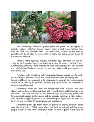 8
Most commonly ornamental garden plants are grown for the display of
aesthetic features including: flowers, leavers, scent, overall foliage texture, fruit,
stem and bark, and aesthetic form. In some cases, unusual features may be
considered to be of interest, such as the prominent and rather vicious thorns of
Rosa sericea and cacti.
Similarly certain trees may be called ornamental trees. This term is used whe
n they are used aspart of a garden or landscape setting, for instance for their flower
s, their texture, form and shape, andother aesthetic characteristics. In some countrie
s trees in 'utilitarian' landscape use such asscreening, and roadside plantings are cal
led amenity trees.
For plants to be considered to be ornamental, theymay require specific work
and activity by a gardener.For instance, many plants cultivated for topiary and
bonsai would only be considered to be ornamental by virtue of the regular pruning
carried out on them by the gardener, and they may rapidly cease t be ornamental if
the work was abandoned.
Ornamental plants and trees are distinguished from utilitarian and crop
plants, such as those used for agriculture and vegetable crops and for forestry or as
fruit trees. This does not preclude any particular type of plant being grown both
for ornamental qualities in the garden, and for utilitarian purposes in other settings.
Thus lavender is typically grown as an ornamental plant in gardens, but may also
be grown as a crop plant for the production of lavender oil.
Ornamental plants are plants which are grown for display purposes, rather
than functional ones. While some plants are both ornamental and functional,
people usually use the term “ornamental plants” to refer to plants which have no
 