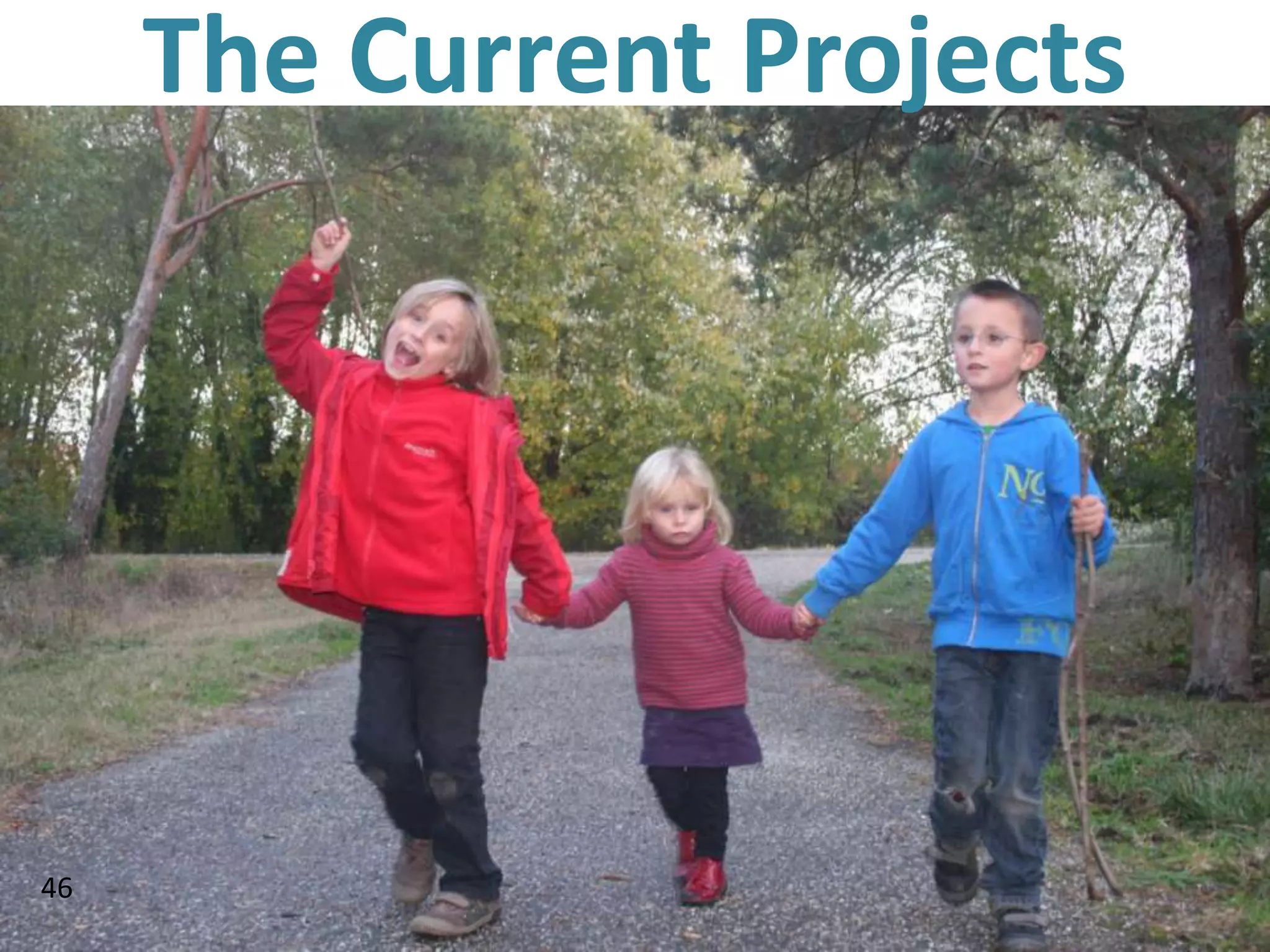 The Current Projects




46
 