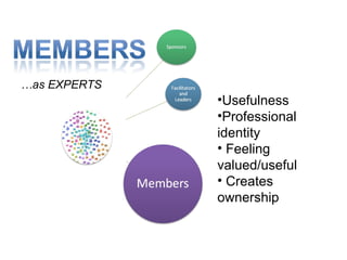 … as EXPERTS Usefulness  Professional identity Feeling valued/useful Creates ownership 