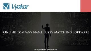 Online Company Name Fuzzy Matching Software