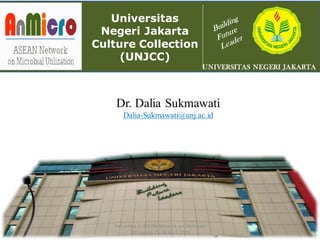 UNIVERSITAS NEGERI JAKARTA
Universitas
Negeri Jakarta
Culture Collection
(UNJCC)
Dr. Dalia Sukmawati
Dalia-Sukmawati@unj.ac.id
Presented in ASEAN Network on Microbial
Utilization 25-28 April 2019
 