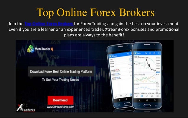 Online Forex Trading Brokers - 