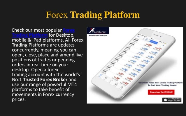 Online Forex Trading Brokers - 