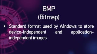 Bitmap File Format Applications online_formats_for_images_and_texts.pptx