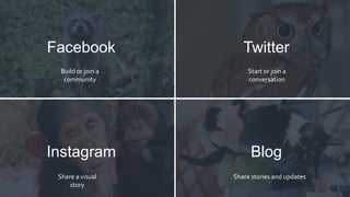 Facebook Twitter
Instagram Blog
Build or join a
community
Start or join a
conversation
Share a visual
story
Share stories and updates
 