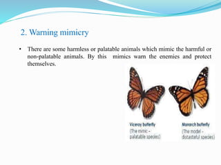 2. Warning mimicry
• There are some harmless or palatable animals which mimic the harmful or
non-palatable animals. By this mimics warn the enemies and protect
themselves.
 