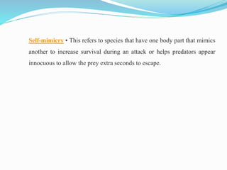 Self-mimicry • This refers to species that have one body part that mimics
another to increase survival during an attack or helps predators appear
innocuous to allow the prey extra seconds to escape.
 