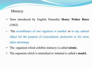 Mimicry
• Term introduced by English Naturalist Henry Walter Bates
(1862).
• The resemblance of one organism to another or to any natural
object for the purpose of concealment, protection or for some
other advantage.
• The organism which exhibits mimicry is called mimic.
• The organism which is mimicked or imitated is called a model.
 