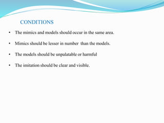 CONDITIONS
CONDITIONS
• The mimics and models should occur in the same area.
• Mimics should be lesser in number than the models.
• The models should be unpalatable or harmful
• The imitation should be clear and visible.
 