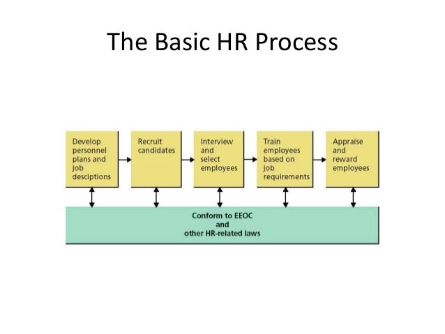 what is human resources class 7