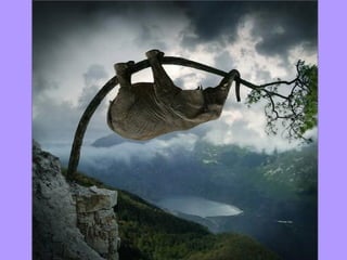 Conclusion
• In conclusion I am a big fan of creating a
  broad social media ID and making a big
  impact on different sites to expand your
  online profile, however, for myself at this
  moment in time the only social media site I
  optionally log into is Facebook, because its
  where I know, the people I know and I’m
  100% comfortable with it’s uses. The other
  social media platforms I use are either for
  work or university where I have to. I’ve never
  been hugely into blogging, uploading videos
  etc.. So I would definitely call myself a
  passive social media user and a personal
  social media user. Thank you.
 