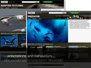 ...adaptations and behaviours...
bbc.co.uk/nature/adaptaion/:dbpediaID
 