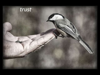 trust
 