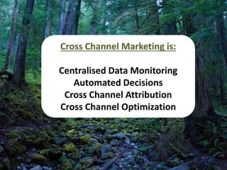 Cross Channel Marketing is:
Centralised Data Monitoring
Automated Decisions
Cross Channel Attribution
Cross Channel Optimization
 
