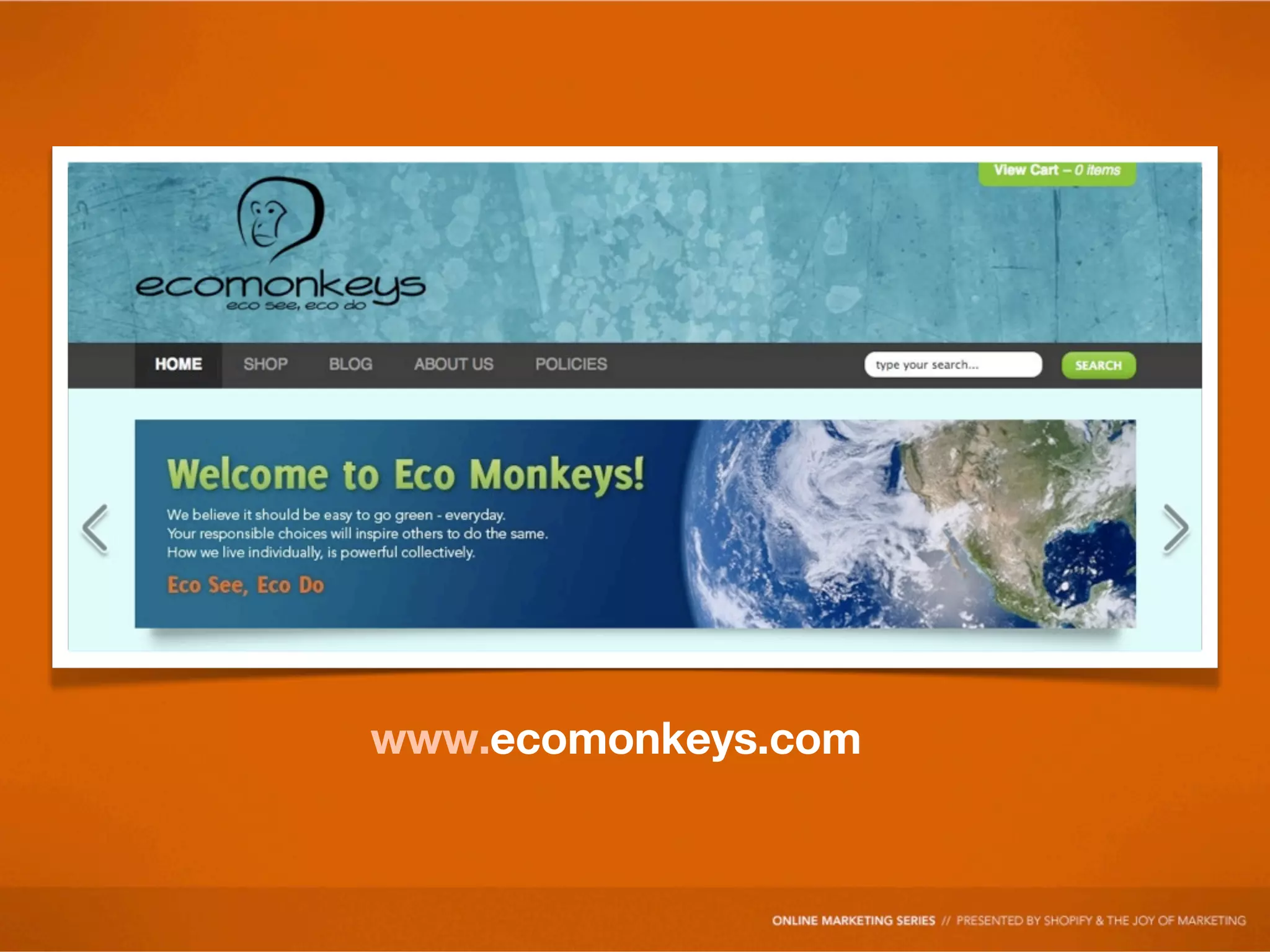 www.ecomonkeys.com
 