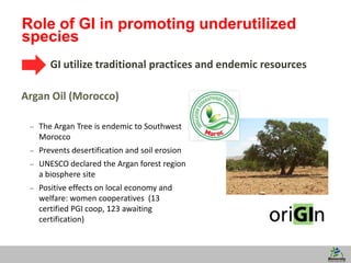 10
Role of GI in promoting underutilized
species
GI utilize traditional practices and endemic resources
Argan Oil (Morocco)
– The Argan Tree is endemic to Southwest
Morocco
– Prevents desertification and soil erosion
– UNESCO declared the Argan forest region
a biosphere site
– Positive effects on local economy and
welfare: women cooperatives (13
certified PGI coop, 123 awaiting
certification)
 