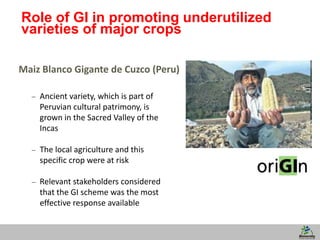 11
Role of GI in promoting underutilized
varieties of major crops
Maiz Blanco Gigante de Cuzco (Peru)
– Ancient variety, which is part of
Peruvian cultural patrimony, is
grown in the Sacred Valley of the
Incas
– The local agriculture and this
specific crop were at risk
– Relevant stakeholders considered
that the GI scheme was the most
effective response available
 