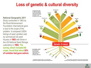 5
National Geographic 2011
Study conducted in 1983 by
the Rural Advancement
Foundation International gave
a clue to the scope of the
problem. It compared USDA
listings of seed varieties sold
by commercial US seed
houses in 1903 with those in
the US National Seed Storage
Laboratory in 1983. The
survey, which included 66
crops, found that about 93%
of varieties had gone extinct.
GENETIC EROSION
Loss of genetic & cultural diversity
Genetic Erosion
 