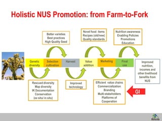 6
Improved
nutrition,
incomes and
other livelihood
benefits from
NUS
Holistic NUS Promotion: from Farm-to-Fork
Genetic
diversity
Selection
cultivation
Harvest Value
addition
Marketing Final
use
Rescued diversity
Map diversity
IK Documentation
Conservation
(ex situ/ in situ)
Better varieties
Best practices
High Quality Seed
Improved
technology
Novel food items
Recipes (old/new)
Quality standards
Efficient value chains
Commercialization
Branding
Multi-stakeholders
Platforms of
Cooperation
Nutrition awareness
Enabling Policies
Promotions
Education
GI
 