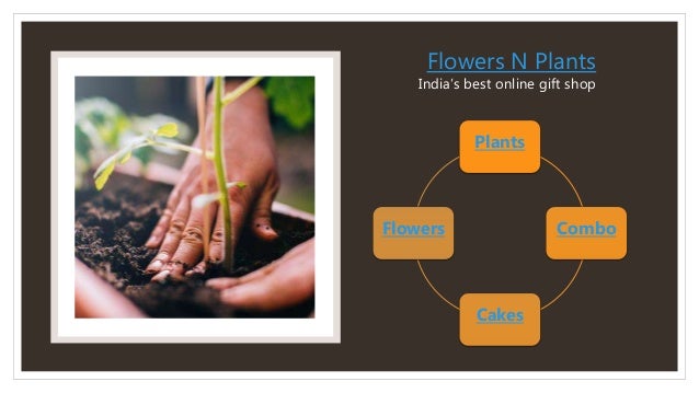 Plants Are Most Important Thing In Our Life And We All