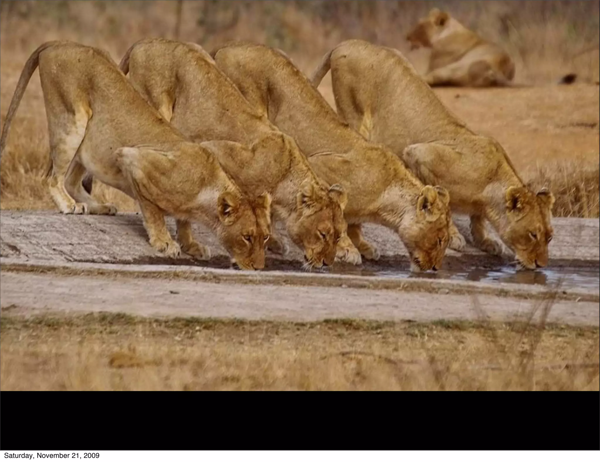 Saturday, November 21, 2009
 