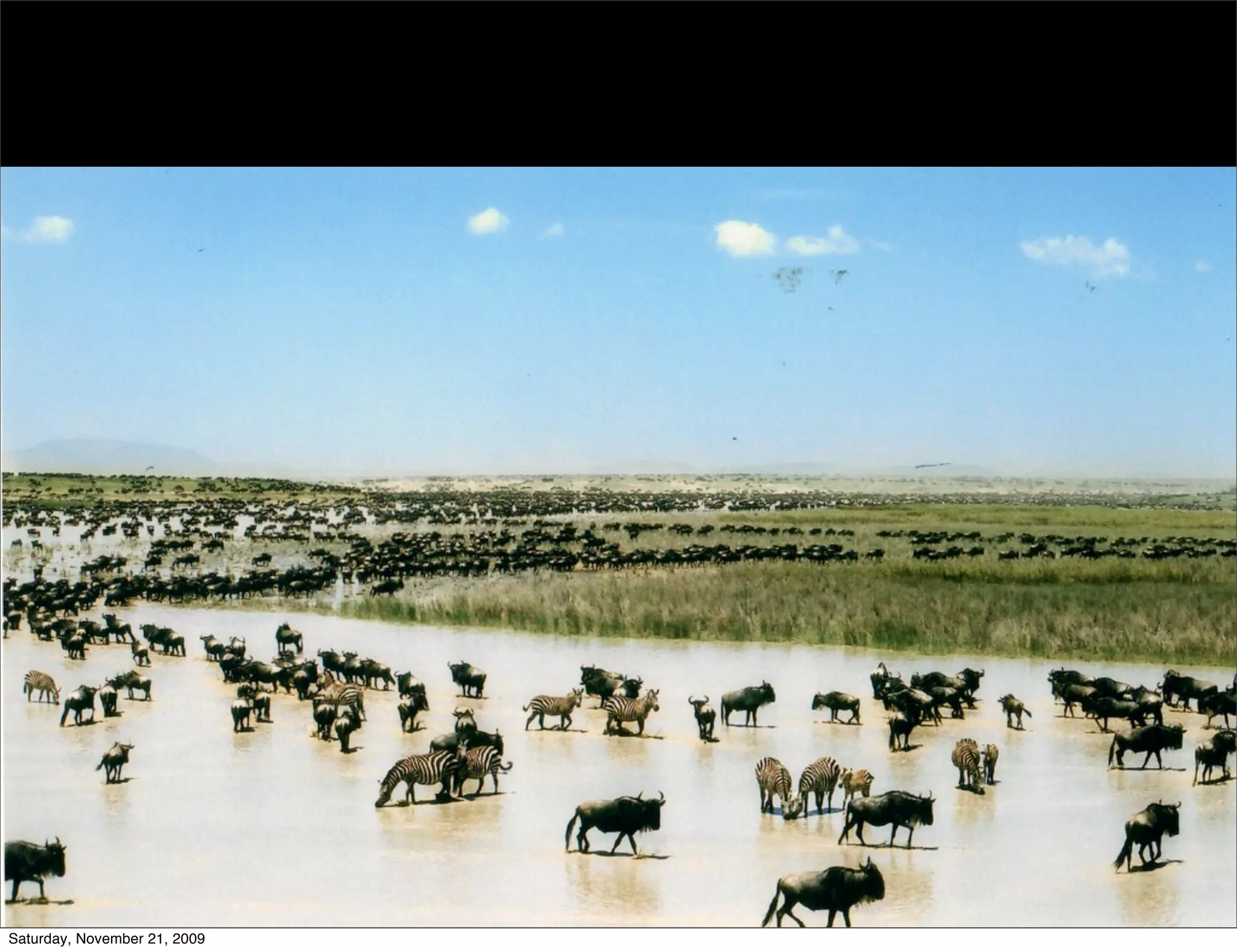 Saturday, November 21, 2009
 