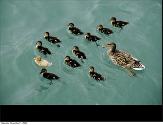 Saturday, November 21, 2009
 